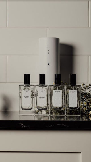 Dream fragrance oil from kirri