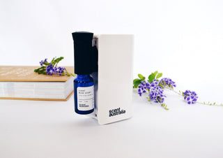 The four types of home diffusers compared