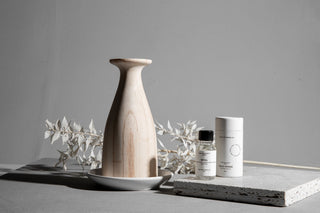 Diffuser styled in a home living space