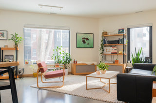 Living space styled with diffuser scents for every room
