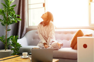 Fresh, tidy home interior free of unwanted odours