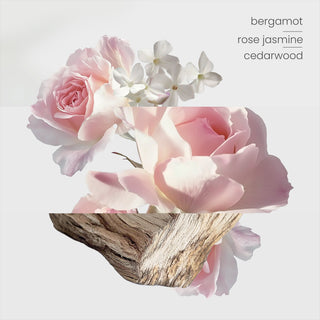 Botanical Gardens Reed Diffuser Trio