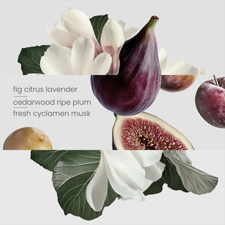 Fig Tree Travel Spray (10ml)