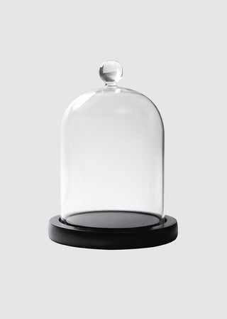 Glass cloche 220g + Wooden Base