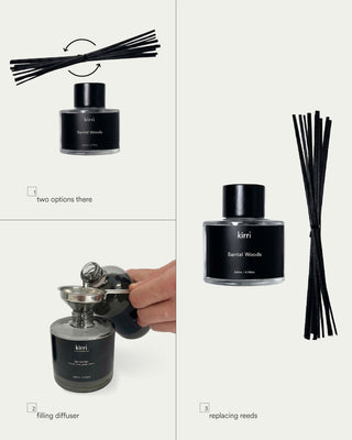 Reeds Pack of 6