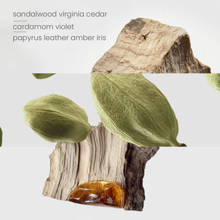 Santal Woods Candle (220g) + Glass Cloche + Marble Base