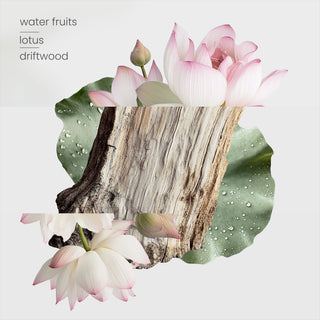 Zen Garden Candle (400g) Duo